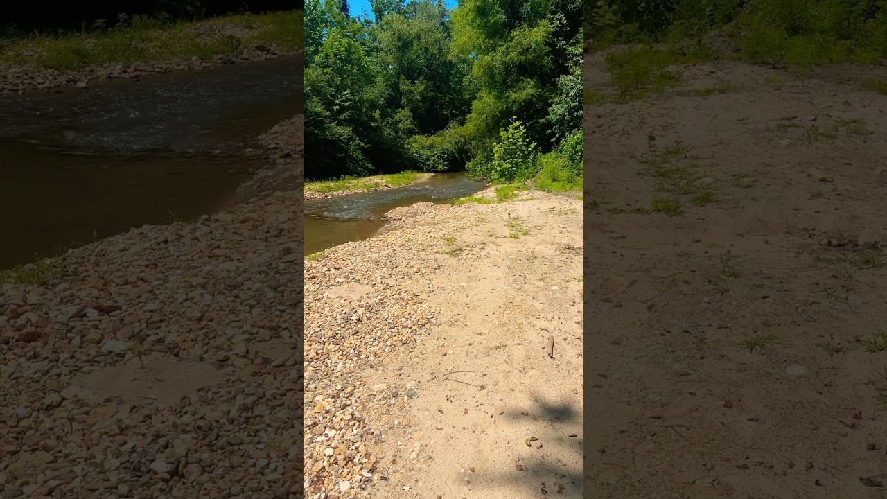 Hunting the creek & found P.A.!!!! 