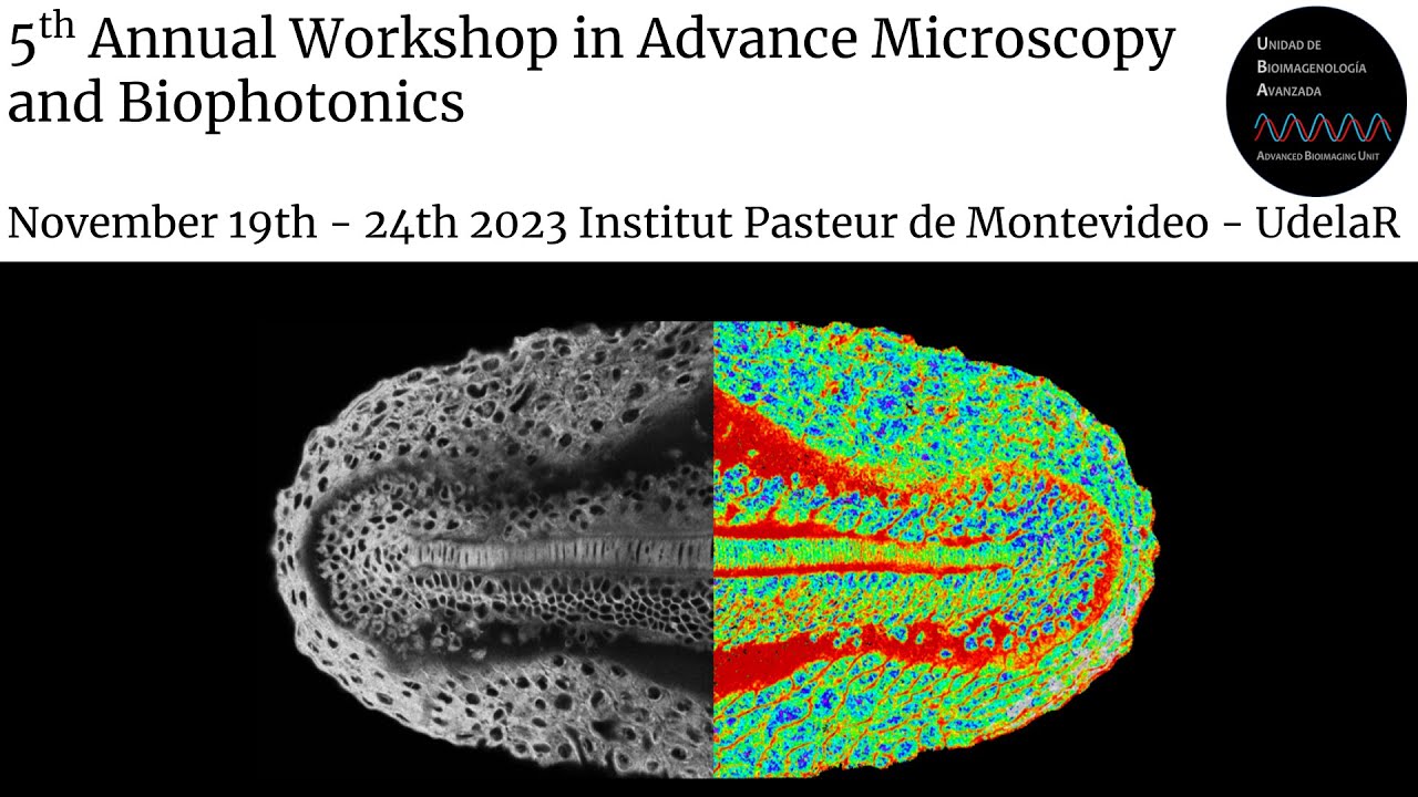 Introduction to Fluorescence Lifetime Imaging Microscopy (FLIM) and the phasor analysis