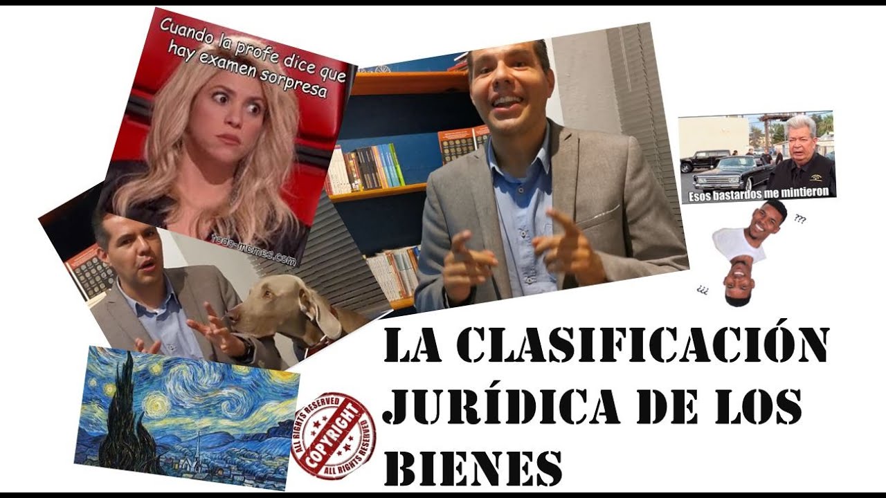 CLASIFICACIÓN JURÍDICA DE LOS BIENES ¡con ejemplos prácticos!: Muebles, inmuebles, tangibles, etc.