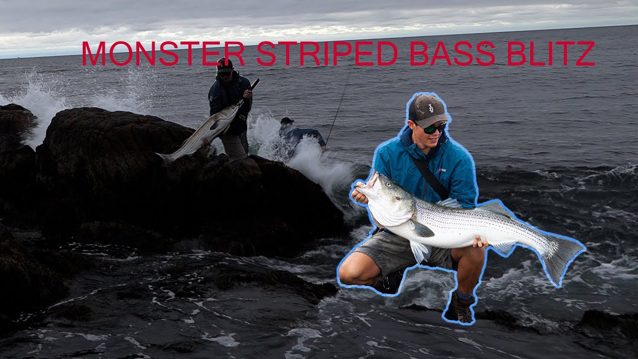Unbelievable Monster Striped Bass Fishing