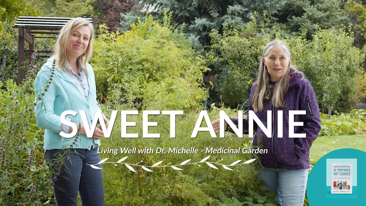 Michelle Jorgensen & Marjory Wildcraft - The Health Benefits Of Sweet Annie