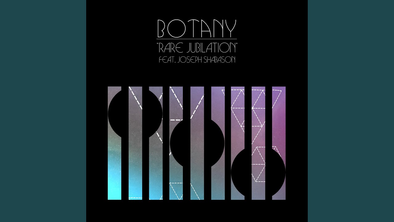 Rare Jubilation (feat. Joseph Shabason)