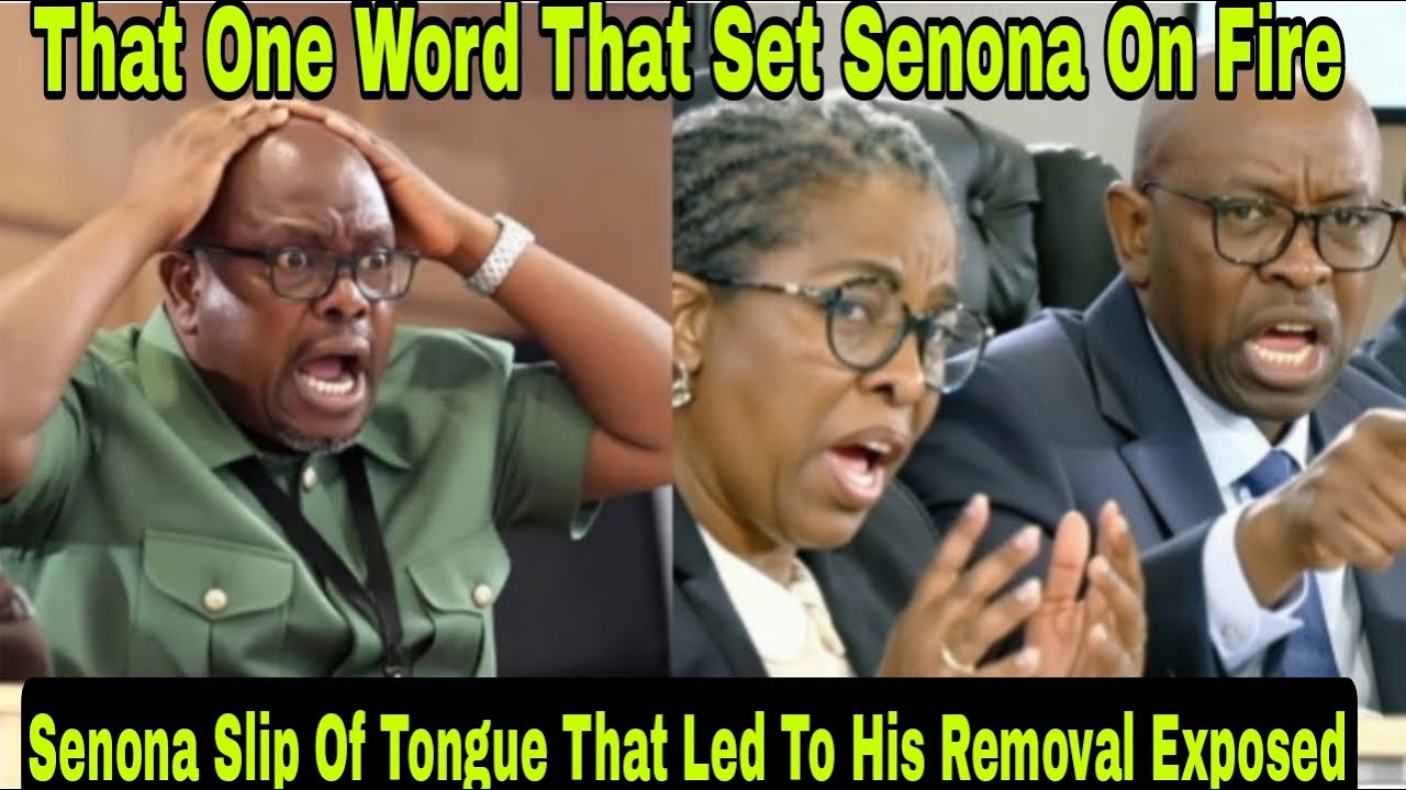 That ONE word That Mistakenly Slipped Out Of General Senona Mouth That Set Him On 'Fire'