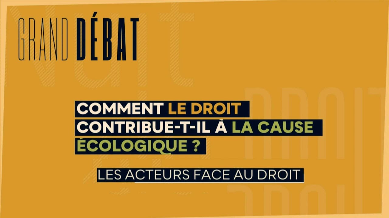 Les acteurs face au droit - Grand débat 1 (Nuit du droit 2021)