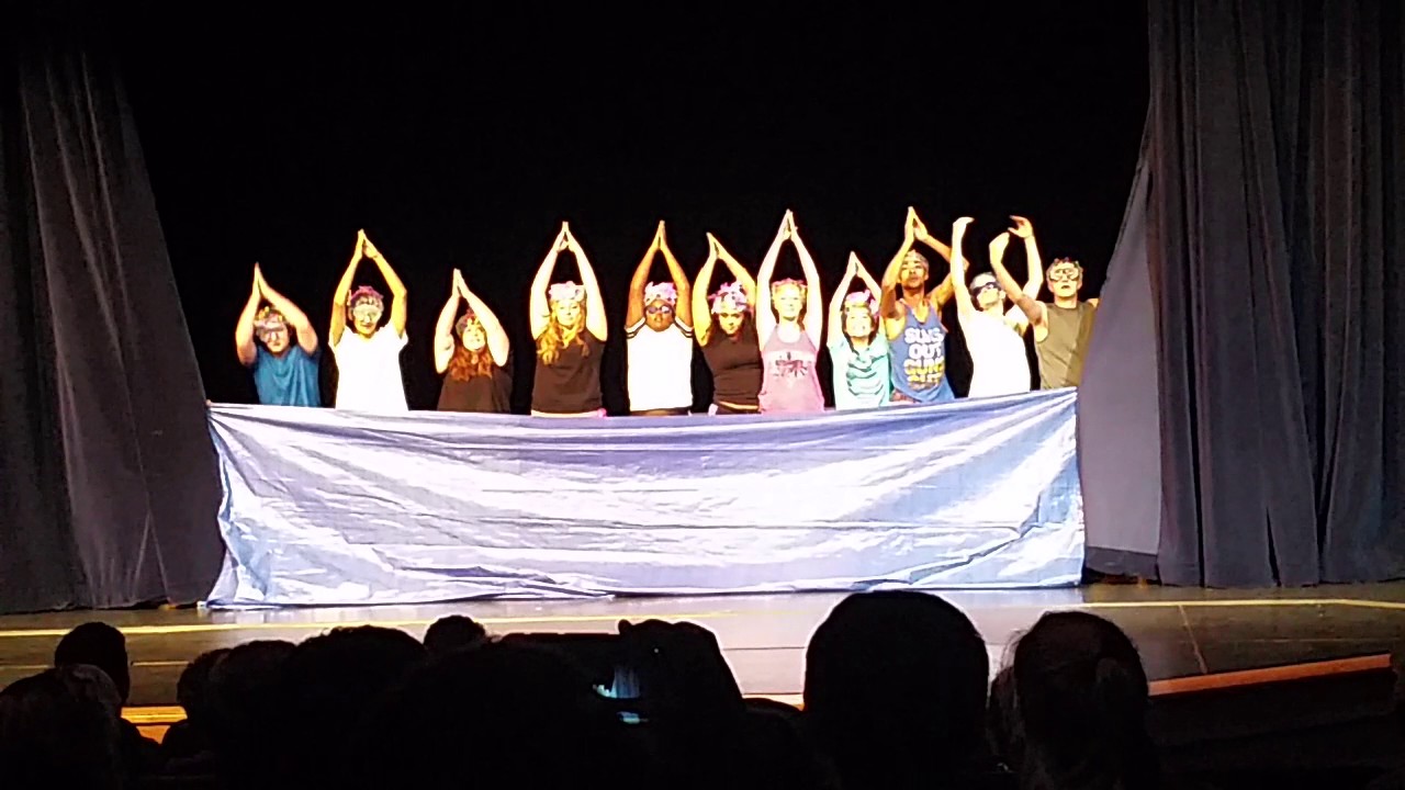 Synchronized Swimming ~ Lincoln North Star High School Choreographed Choir