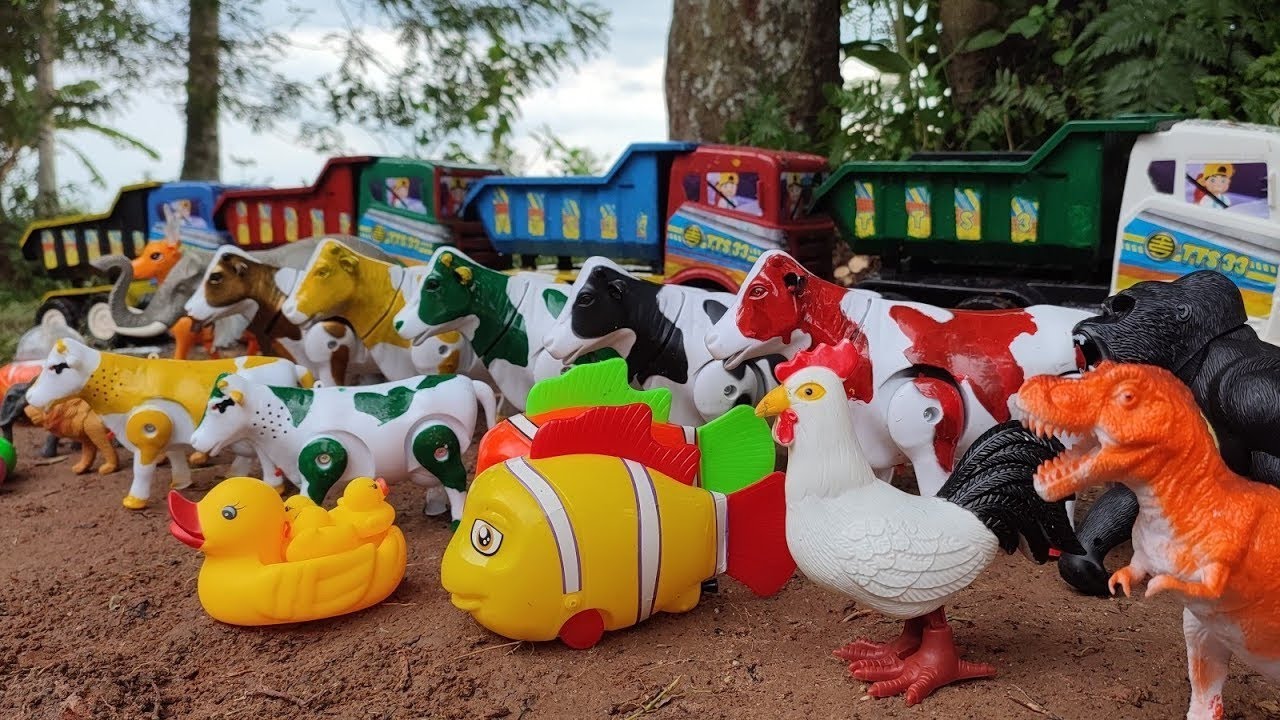 🔴 Wiih..! Truk oleng angkut sapi warna warni ayam gajah gorila kelinci latolato buaya rusa joget