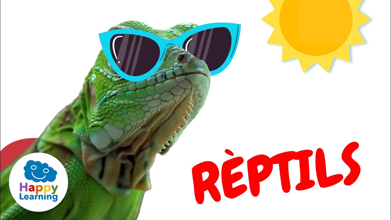 Curiositats sobre ELS RÈPTILS | Vídeos educatius per a nens en llengua catalana