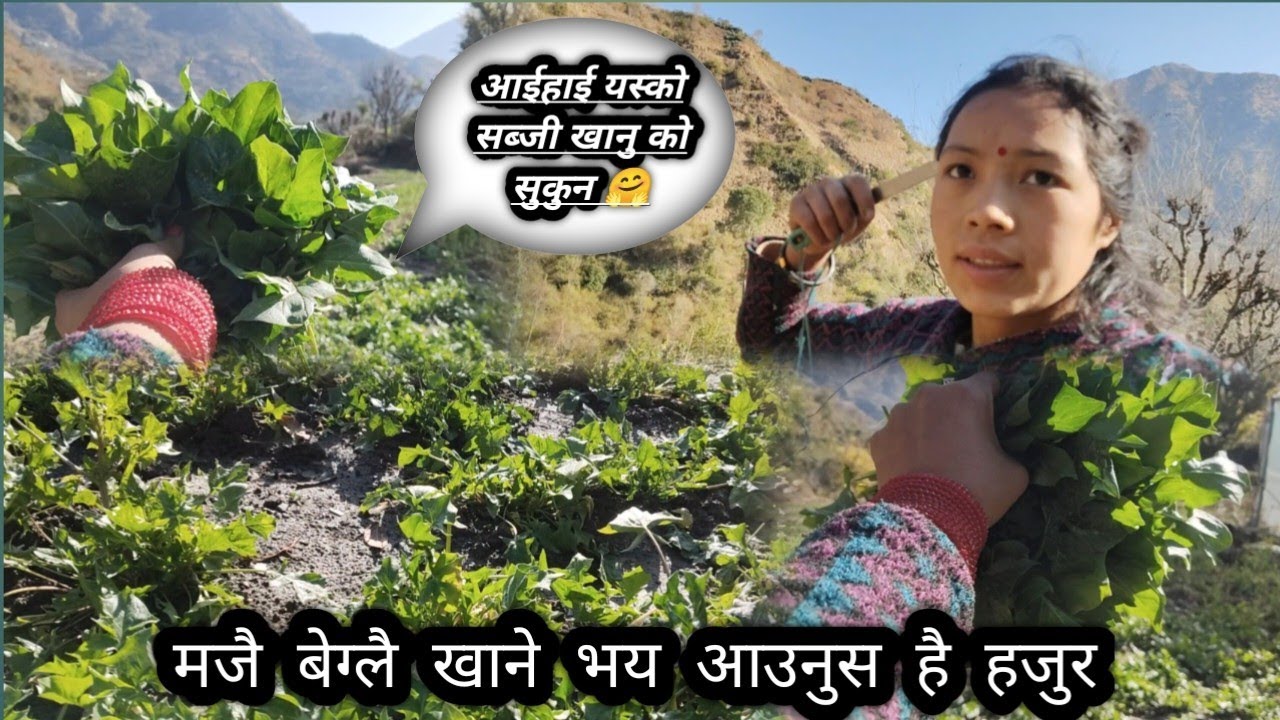 हजुर हरू लाई मन पर्छ की नाई Aruna vlogs 🙏❤️