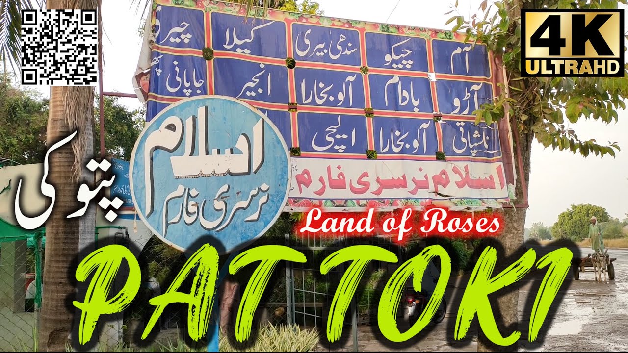 Pattoki flower market | Nursery 🍓🍑 fruit plants | Complete Price | Easily grown in your pots or lawn
