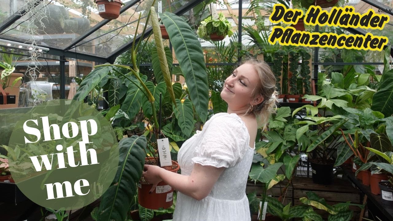 PFLANZEN Shop with me | Follow me around bei DER HOLL&Auml;NDER am Olympiastadion 🪴
