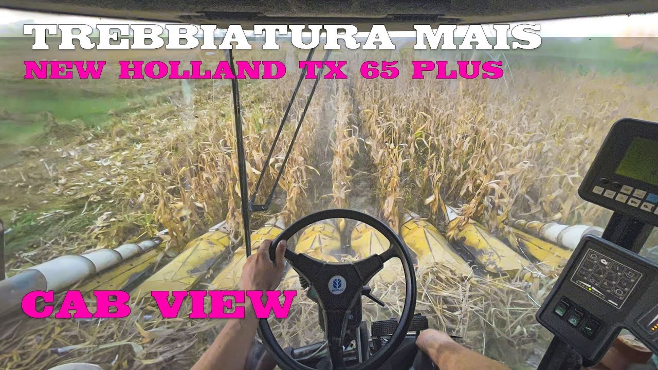 CAB VIEW | NEW HOLLAND TX 65 PLUS trebbiatura mais