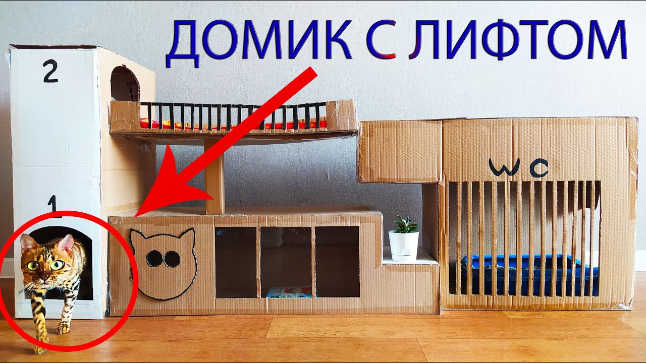 ДОМ С ЛИФТОМ из картона для кошки своими руками.