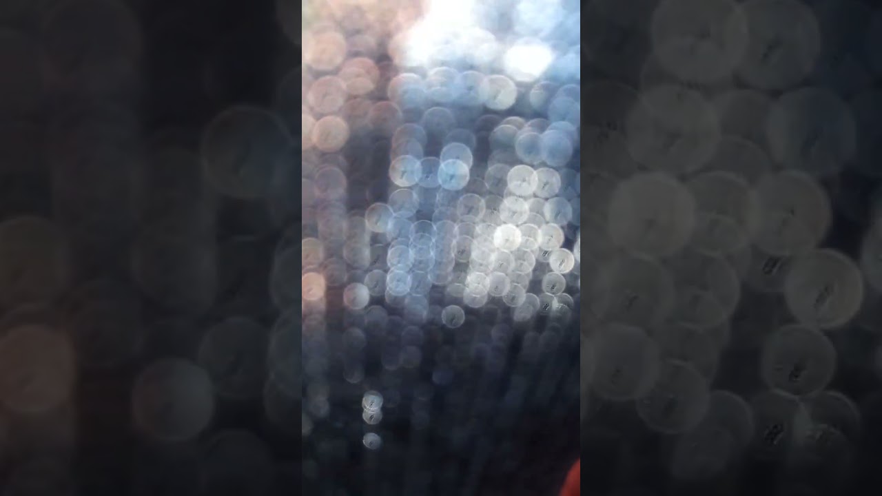 Hermosura 😘 perdón por grabarte pero no lo pude evitar es como un imán 🧲 simplemente no hubo f