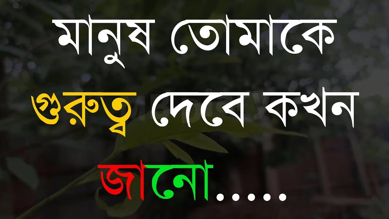 মানুষ তোমাকে গুরুত্ব -Life Changing Motivational Quotes Bengali | Monishider Bani Kotha By MB Diary