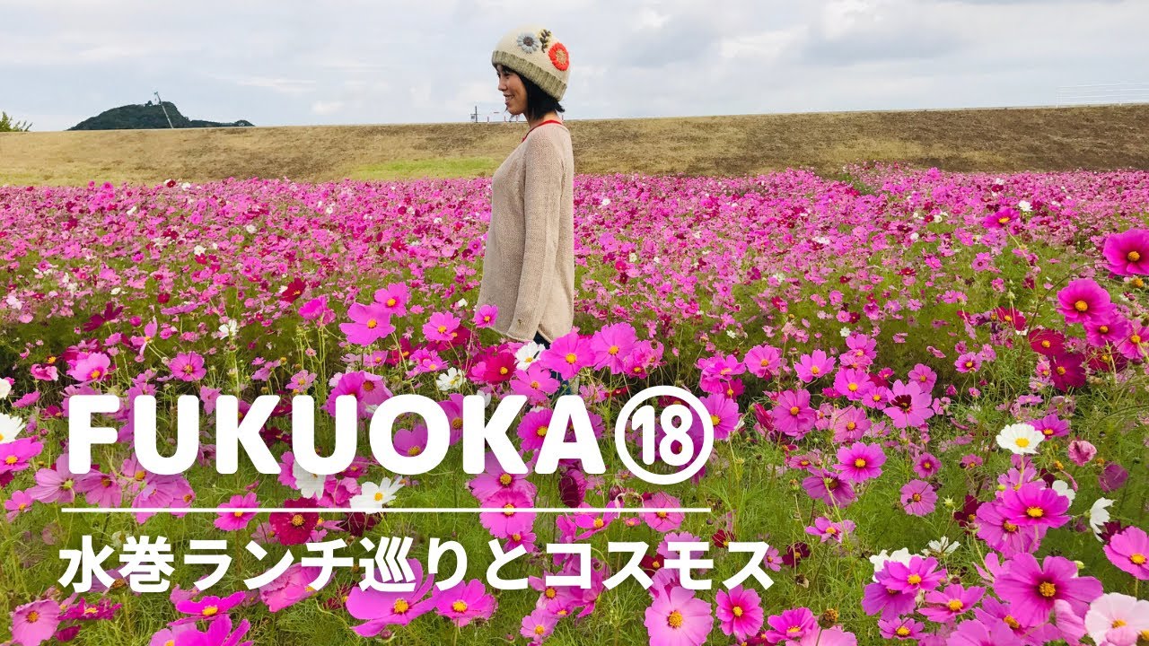 Наслаждайтесь осенью в Японии. Просмотр космоса и вкусный японский обед.