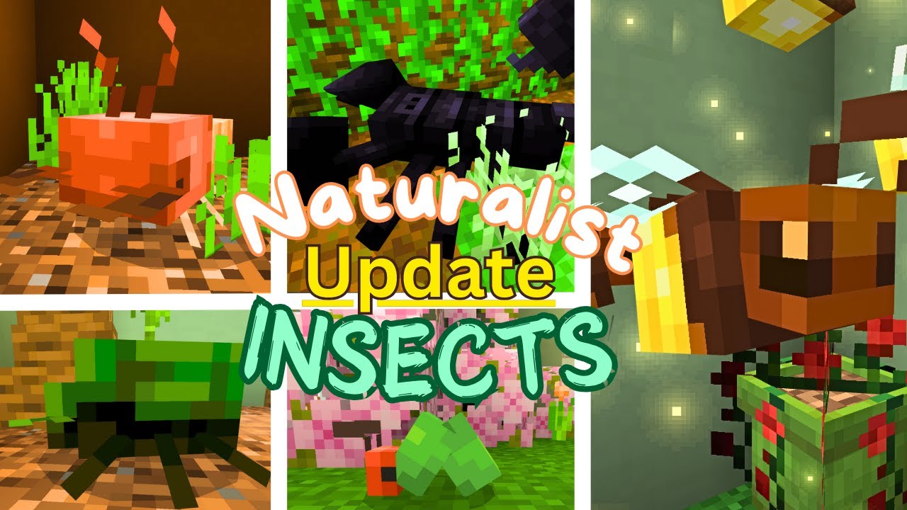 ВСЕ НАСЕКОМЫЕ | ОБНОВЛЕНИЕ Naturalist 2.0 | Витрина