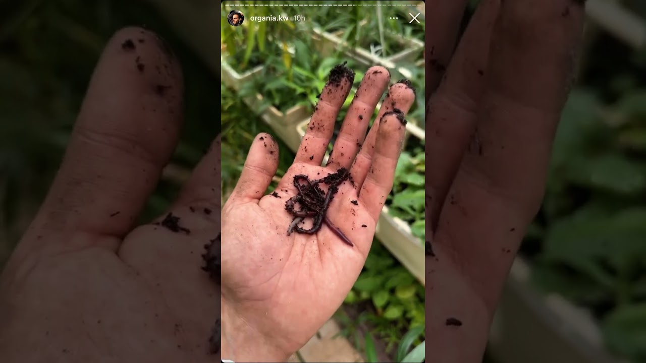 محمية الشاميه ، خلني اشوف 🥰