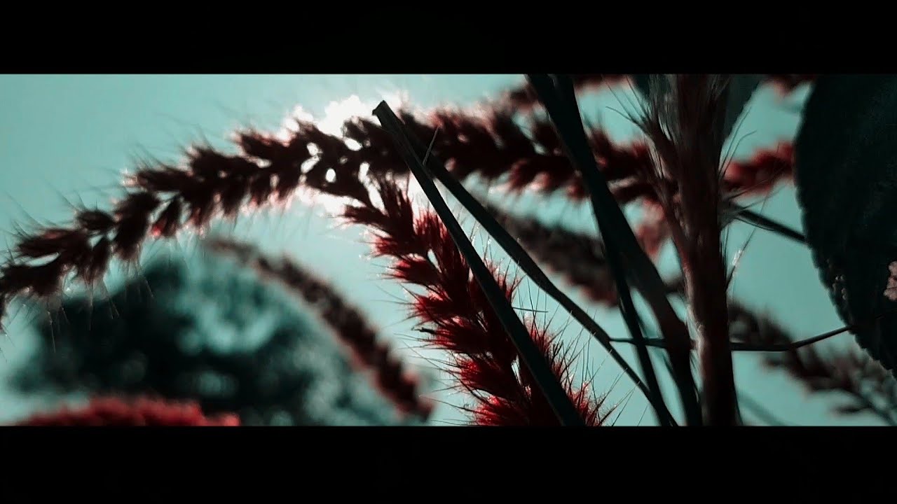 Xiaomi Redmi Note 8 Pro Cinematic Video Footage