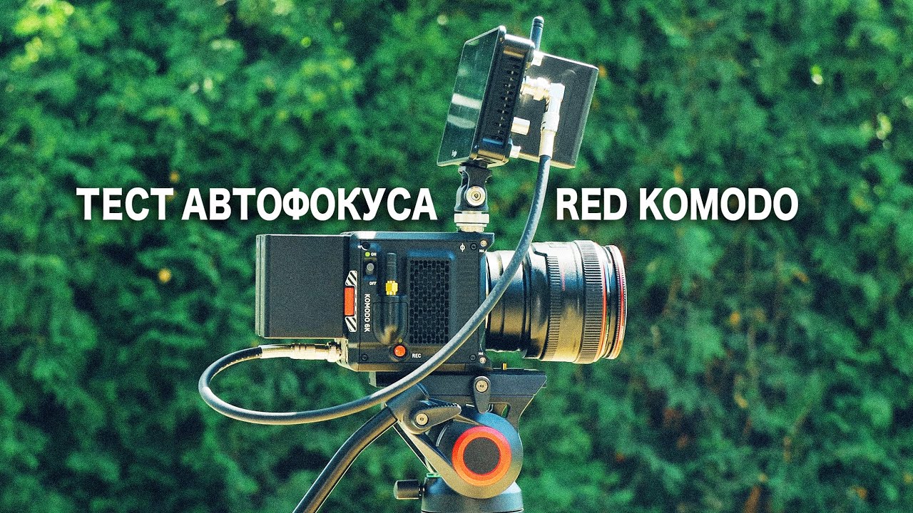 Тест автофокуса на RED KOMODO [Скачать исходники в RAW 6K 40fps | Downloadable Footages in RAW]