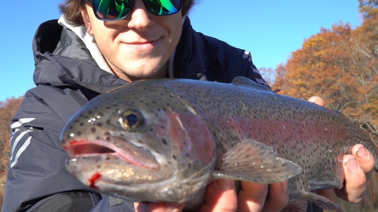 Trolling for BIG Inland Lake Rainbow Trout