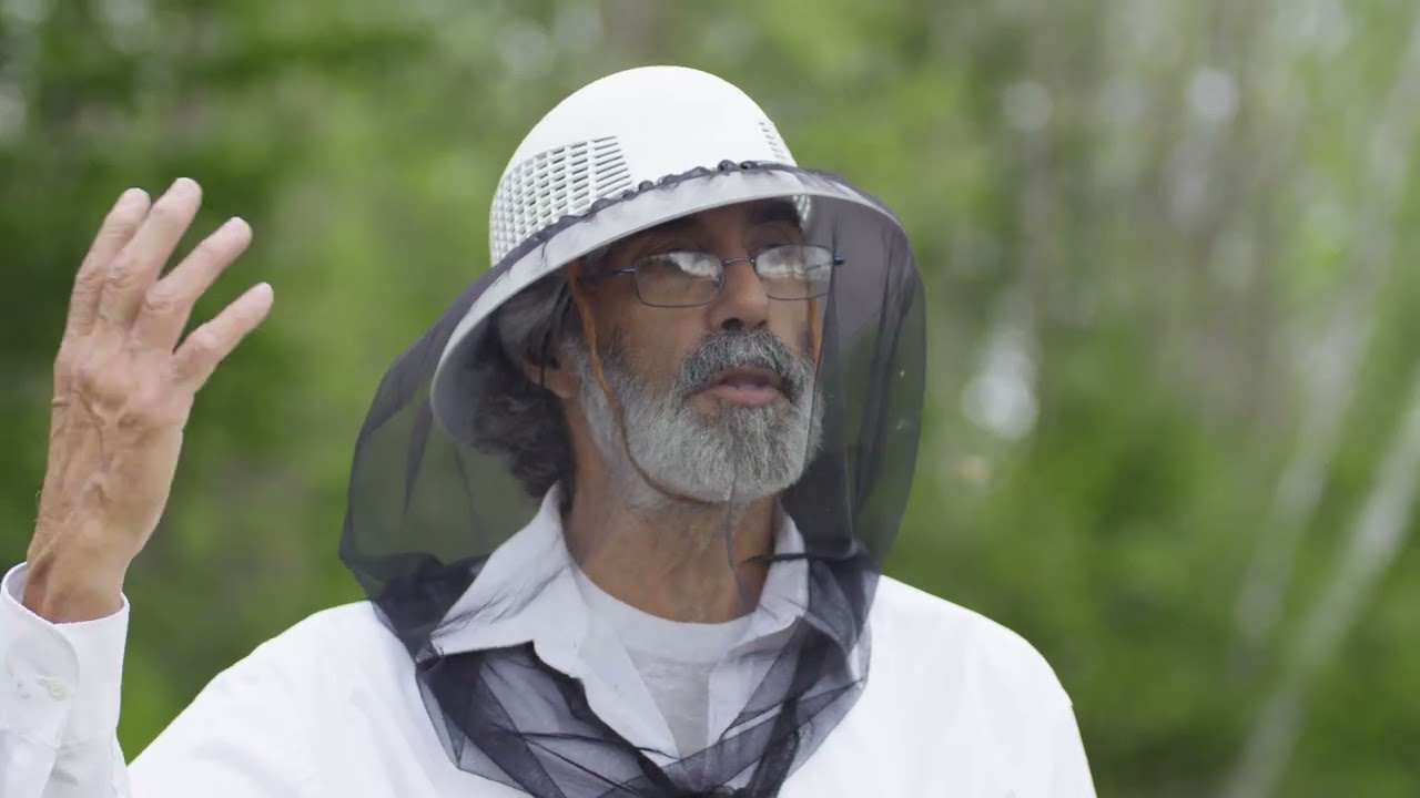 Apiculture bio:  Couvrir les abeilles - Produits Bio La Fée