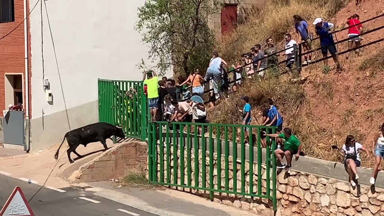 Bogarra encierro 2022 | Salto del muro