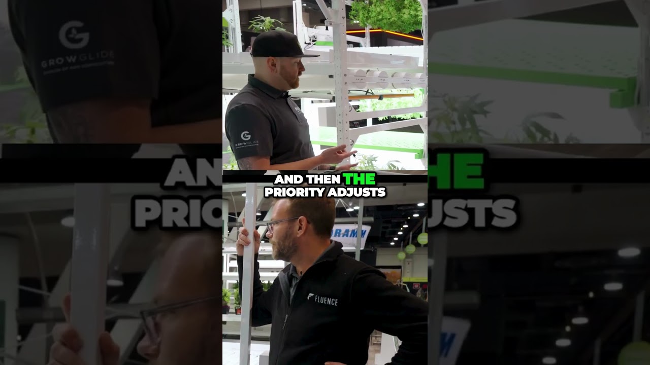 Sub-Canopy vs. Top-Down Airflow