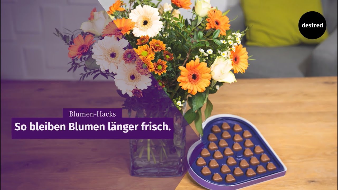 3 Hacks, welche Blumen frisch halten!