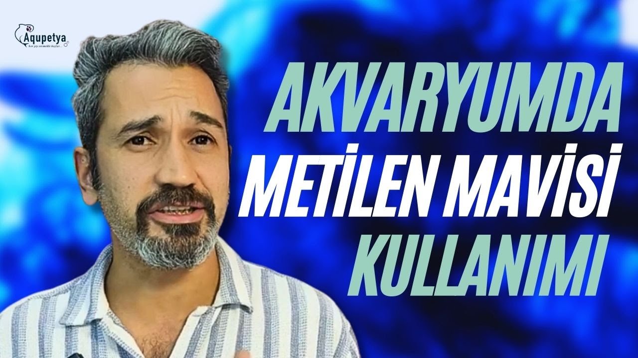 “Akvaryumda Metilen Mavisi Kullanımı | Ne İşe Yarar & Yanlış Bilinenler” ✅