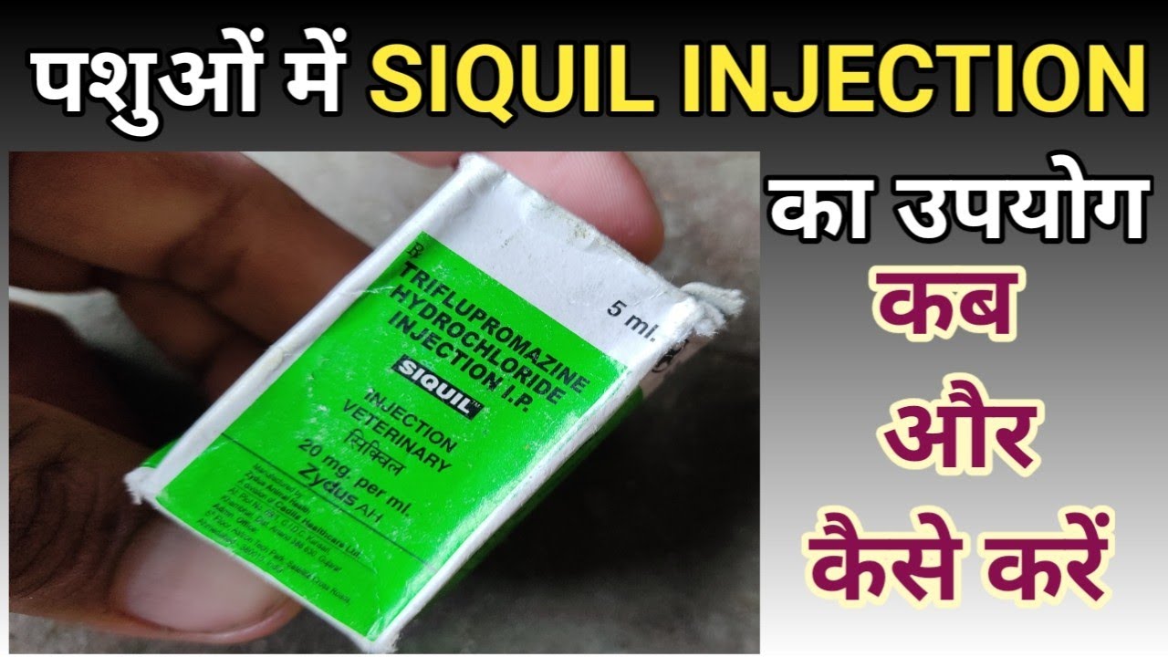 siquil injection | How Sequil Injection is uses in cattle and Veterinary Medicine ‎@VeterinaryFarm