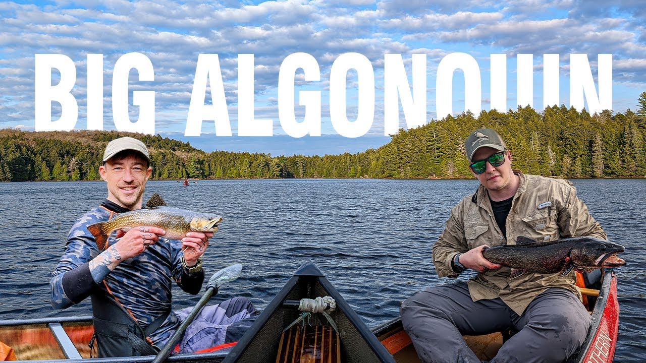 Algonquin Park, Canoe Camping & Fishing Brook Trout ft. Joe Robinet