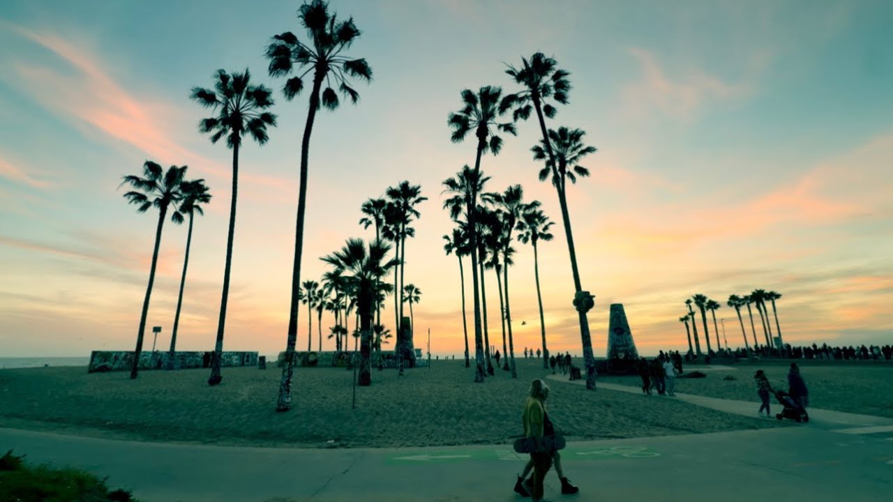 February 14, 2026: My evening walk in gratitude…