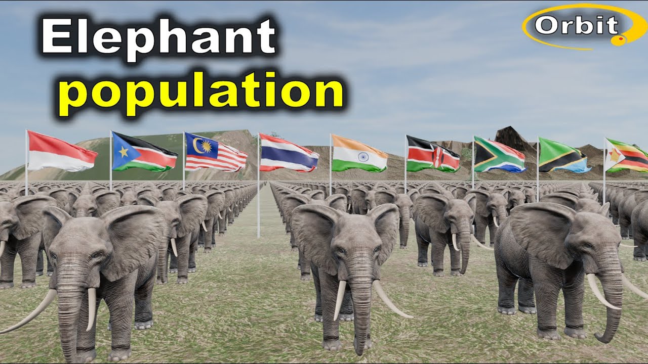 Elephant population by Country 2025