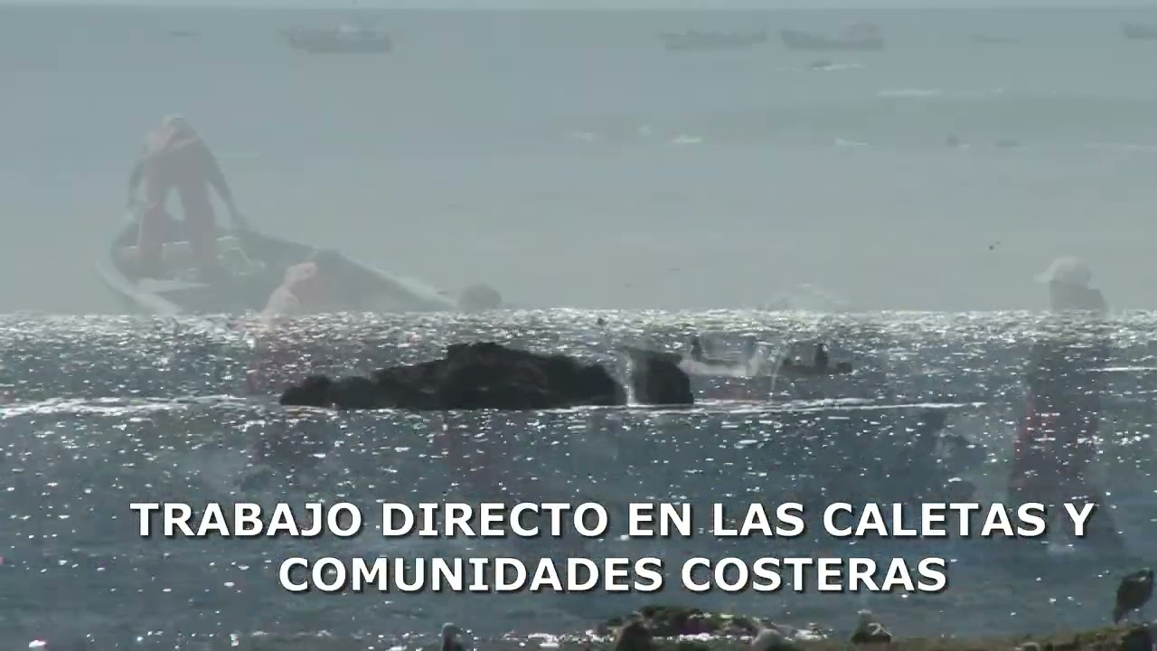 GESTION Y DEFENSA DE LA PESCA ARTESANAL FEREPA BIOBIO 2025 UN AÑO DE TRABAJO TERRITORIAL