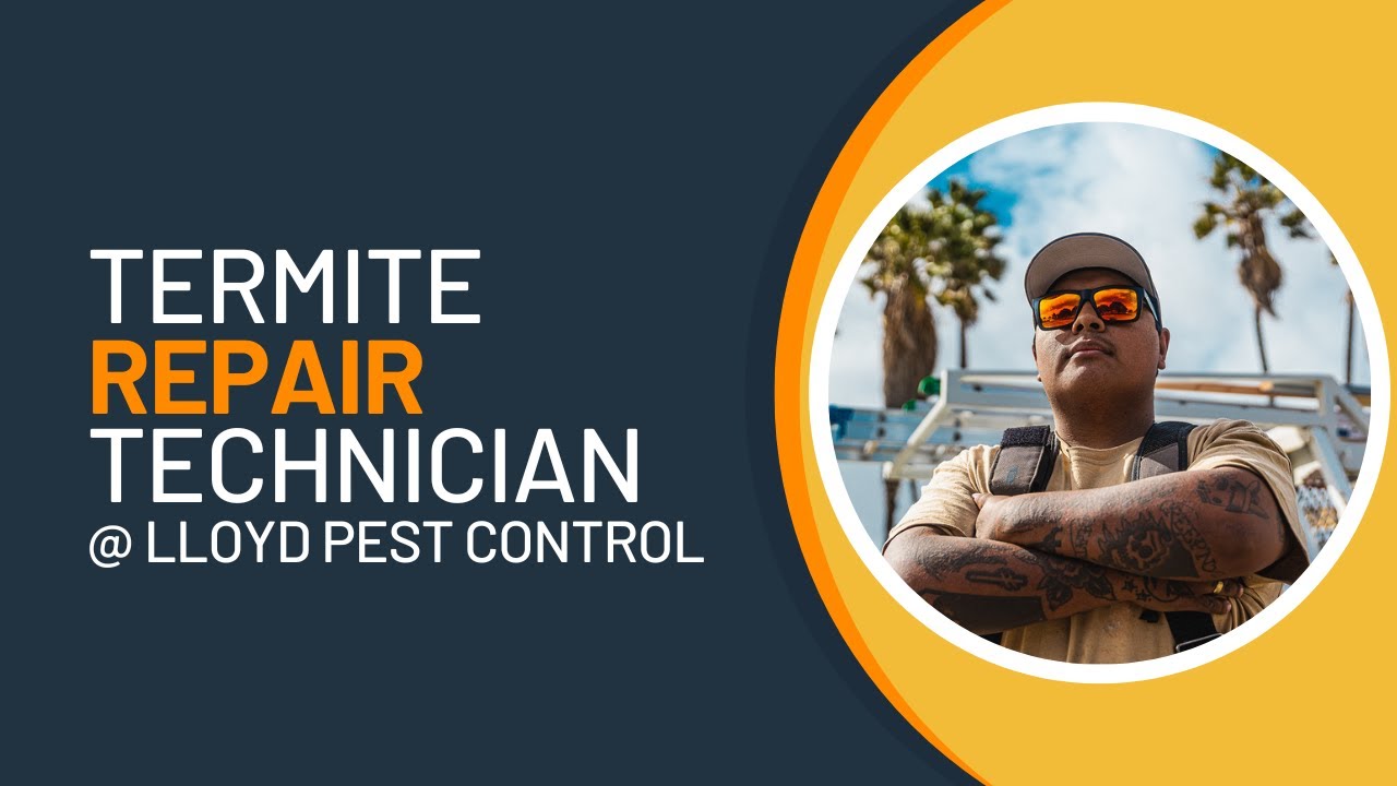 Being a Termite Repair Technician @lloydpestcontrol