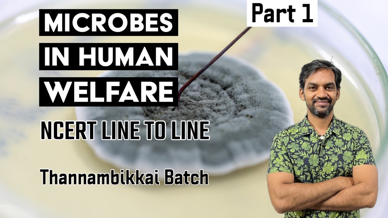 Microbes in Human Welfare | Part 1 | NCERT line to line | Thannambikkai Batch