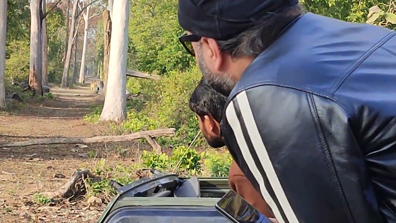 Jim corbett national park 
