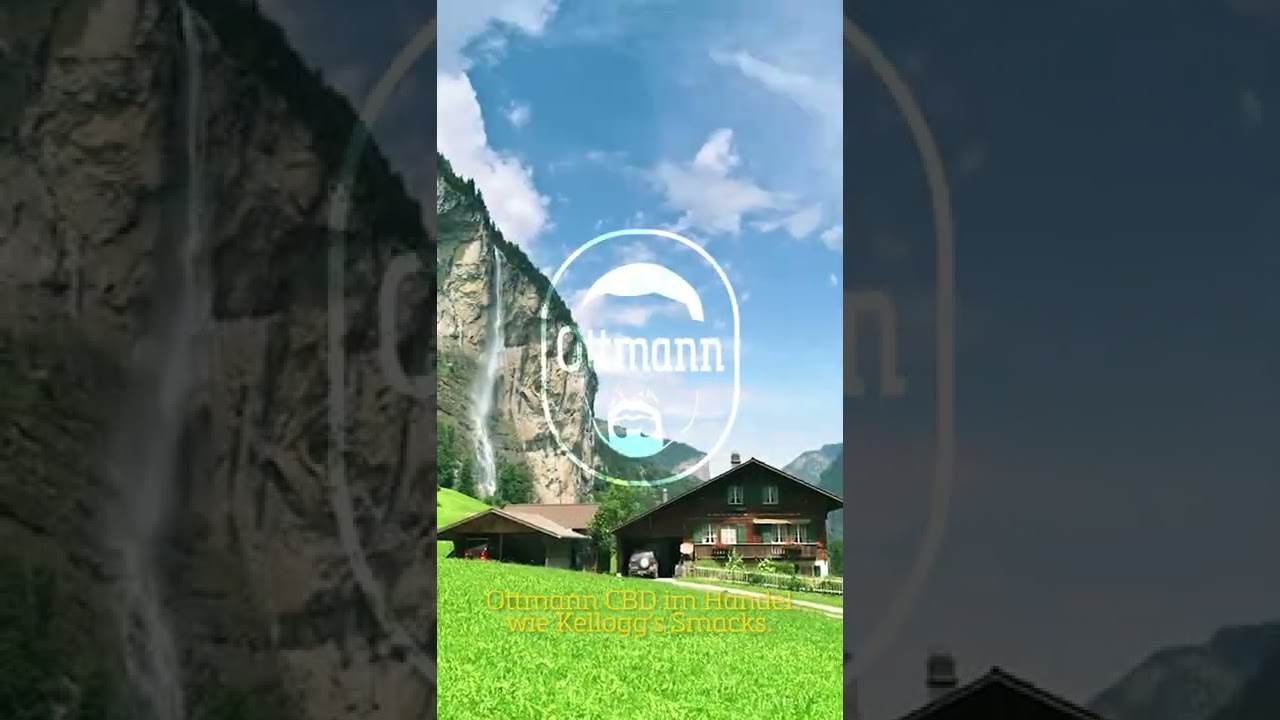 BIG LAUNCH 🤝 Ottmann und SSIO verkaufen starkes Cannabis in der Schweiz