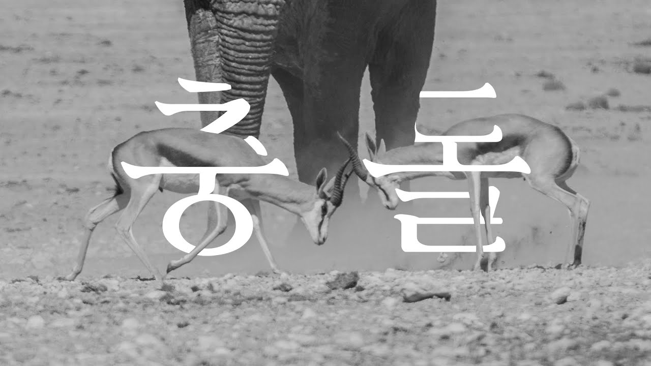 GIT 충돌 - (merge, rebase, cherry-pick, revert)