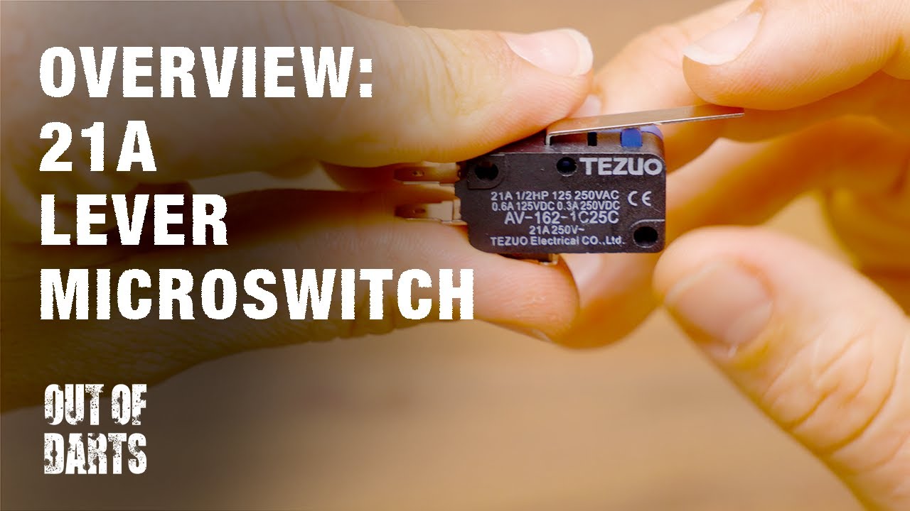 Product Overview:  Tezuo 21-Amp Lever Microswitch