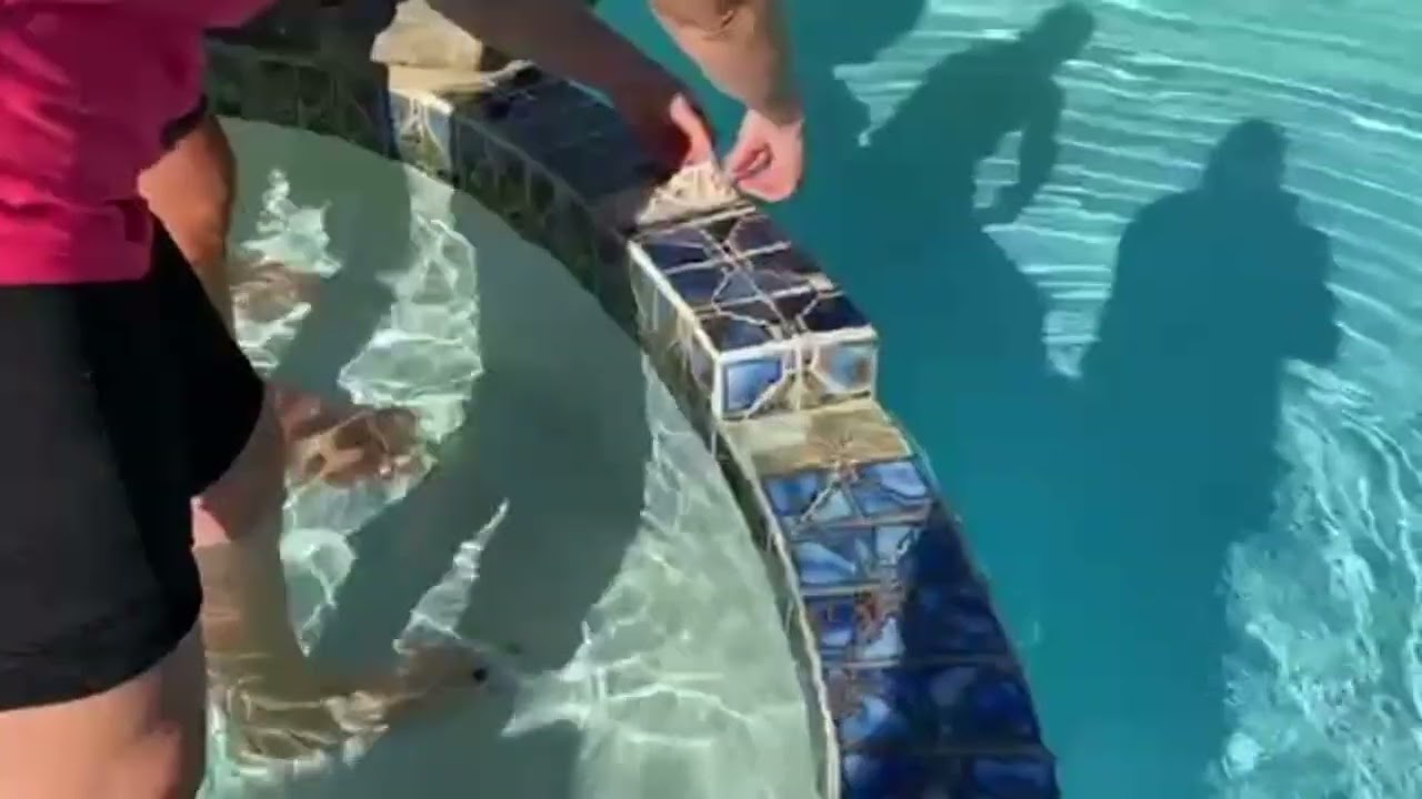 SeaTak Pool Application: Replacing Pool Tiles Without Draining Your Pool