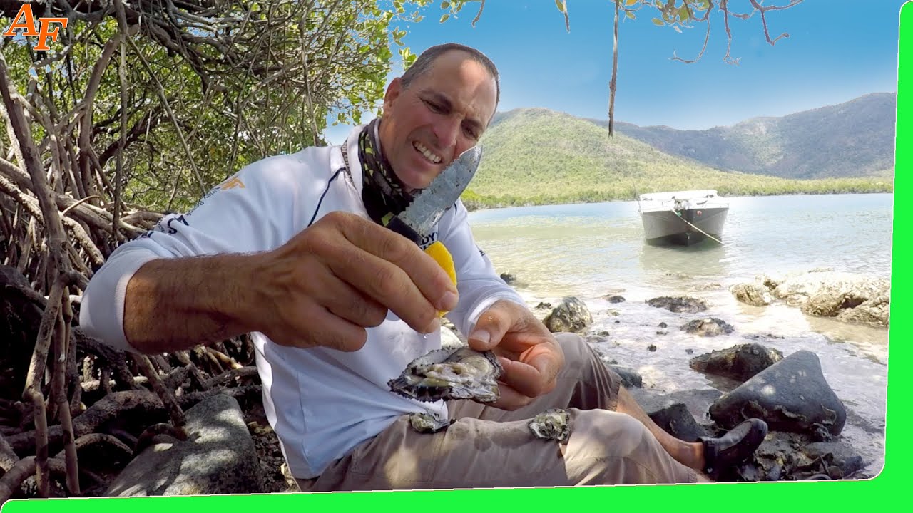 Solo Beach Campin - Catch and Cook - Trophy Fish EP.500