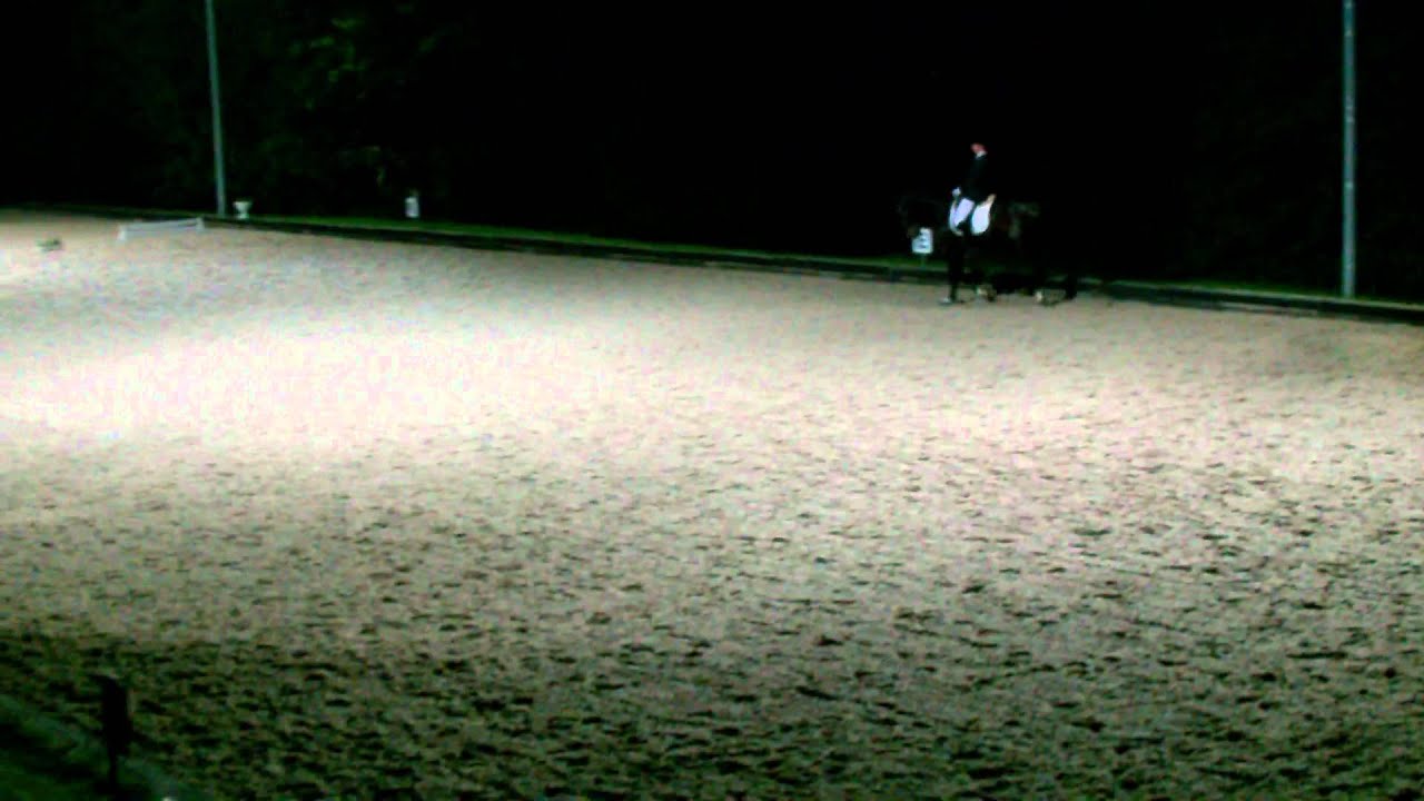 L-Kür Kandare , Hattingen 2012