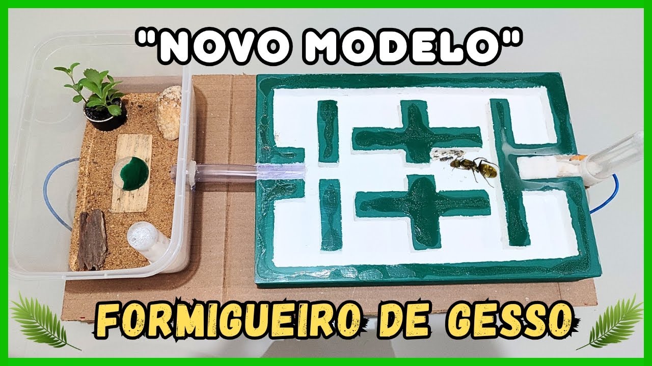 Ensinando fazer um NOVO MODELO de FORMIGUEIRO CASEIRO para Formiga Camponotus
