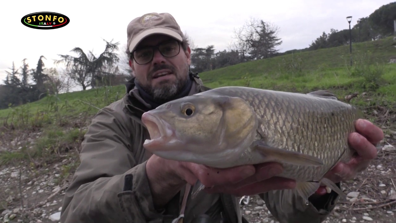 PESCA A BOLOGNESE -  Bolognese d'inverno -