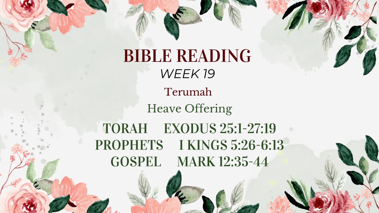 Bible Reading week 19 Terumah   Contribution  Offering