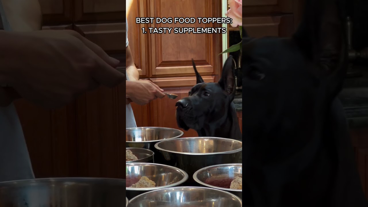 Raw Diet For Dogs - The Best Raw Dog Food On The Market