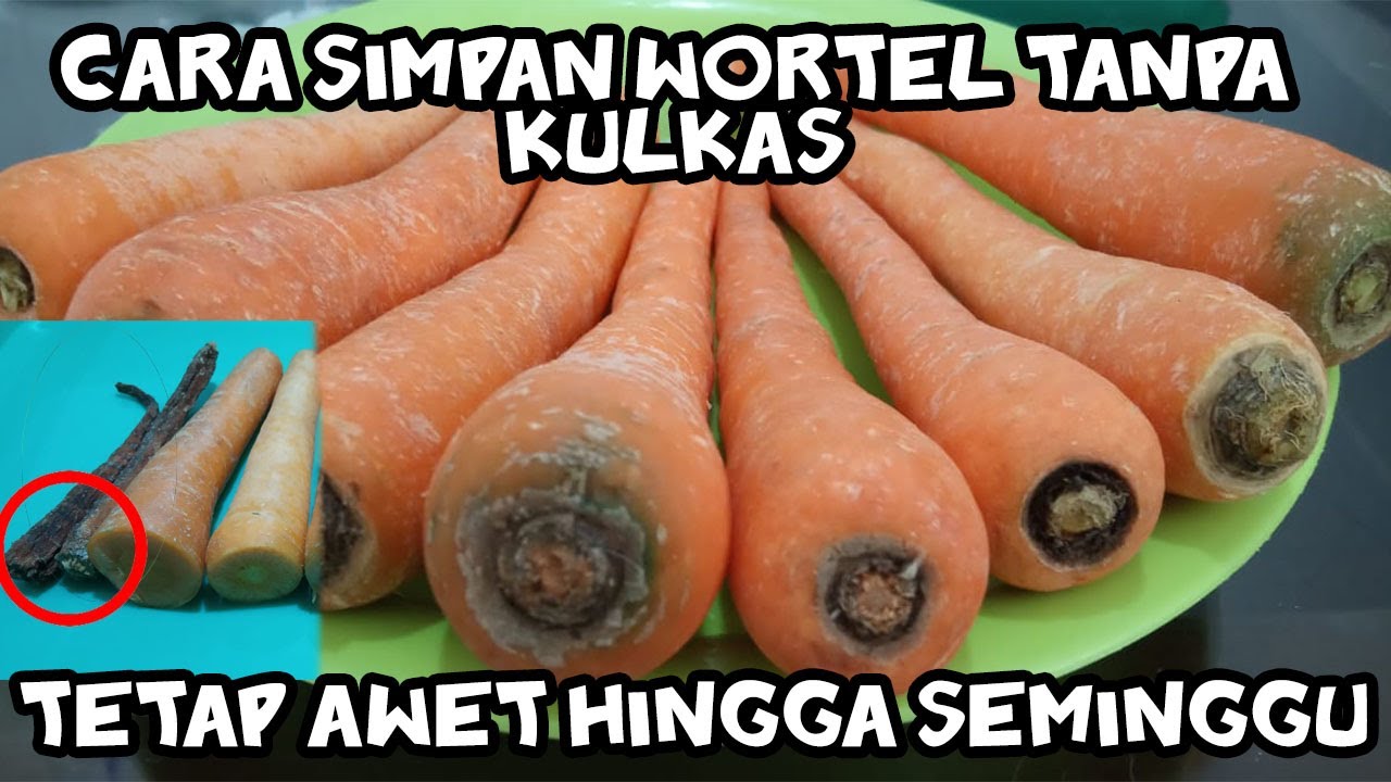 Cara simpan wortel Tanpa Kulkas Tetap Awet hingga seminggu