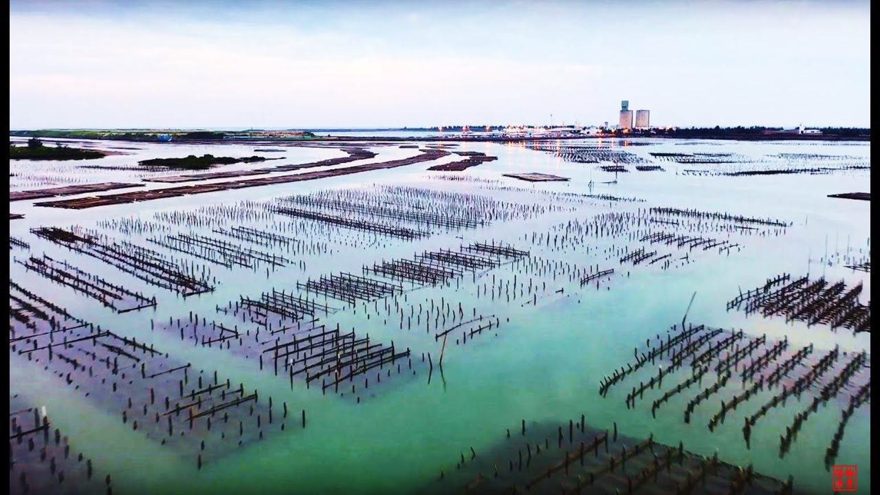 201905嘉義布袋港南堤之龍宮溪出海口(The estuary of Longgongxi, the south bank of Budai Port)
