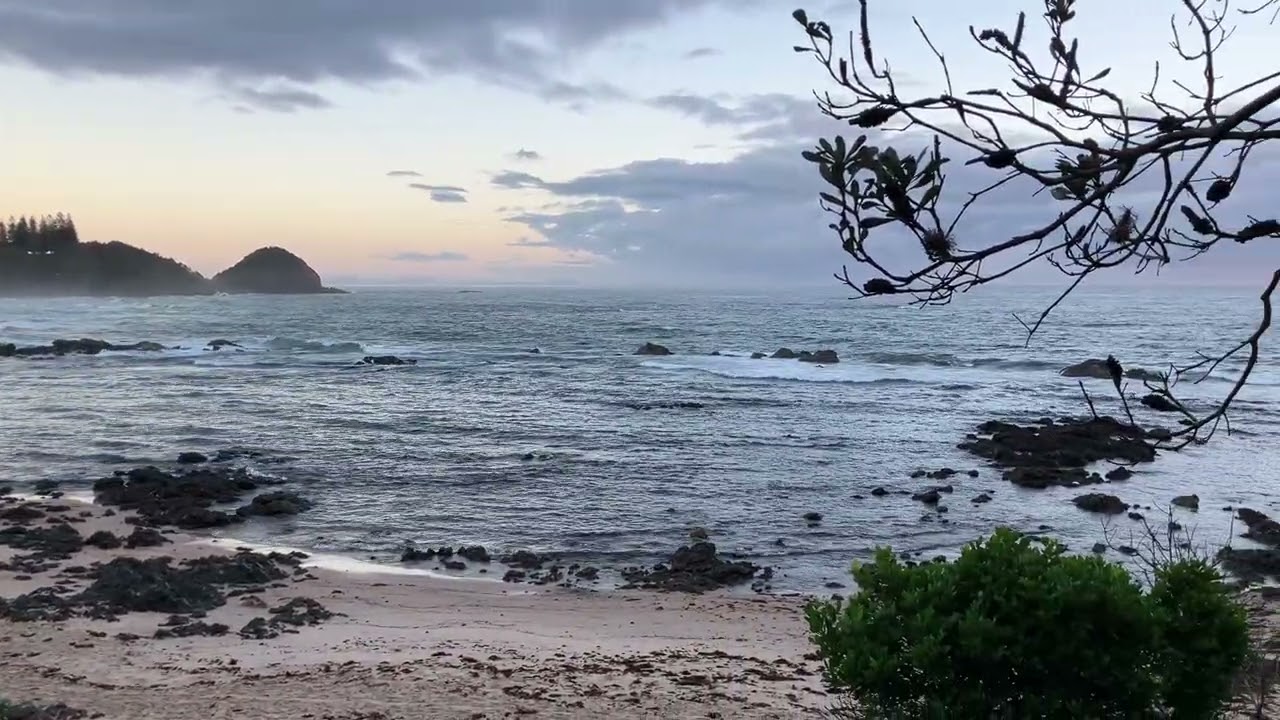 Good morning Port Macquarie 25 February 2026 (D)